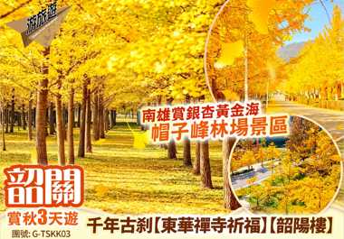 韶關 南雄賞銀杏黃金海 千年古剎 3天遊